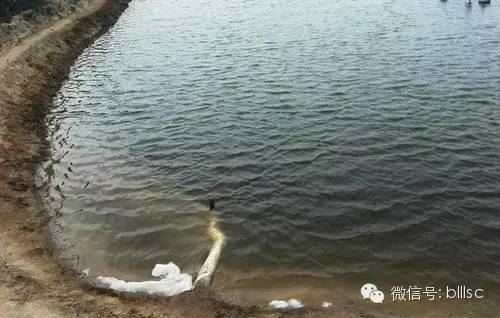 中國養殖基地 yzjidi.com