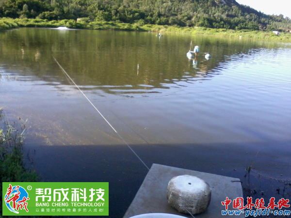 中國養殖基地 yzjidi.com