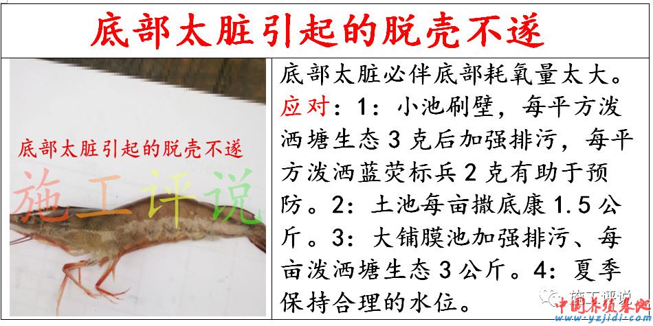 中國養殖基地 yzjidi.com