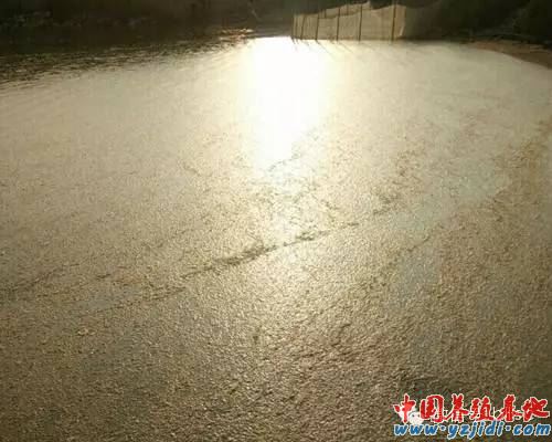 中國養殖基地 yzjidi.com