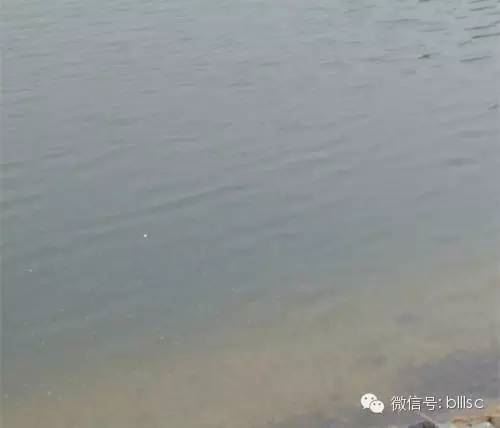 中國養殖基地 yzjidi.com
