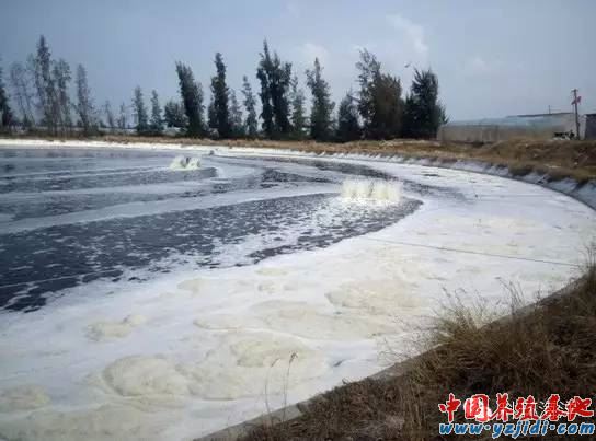 中國養殖基地 yzjidi.com