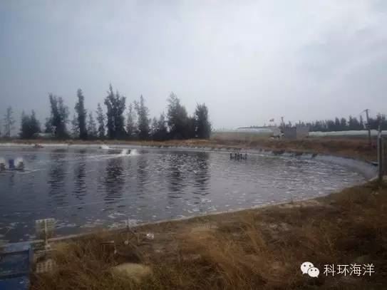 中國養殖基地 yzjidi.com