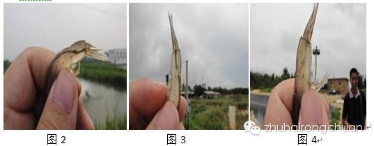 中國養殖基地 yzjidi.com