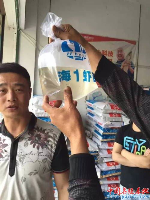 中國養殖基地 yzjidi.com