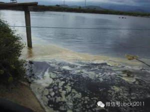 中國養殖基地 yzjidi.com