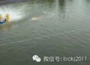 中國養殖基地 yzjidi.com