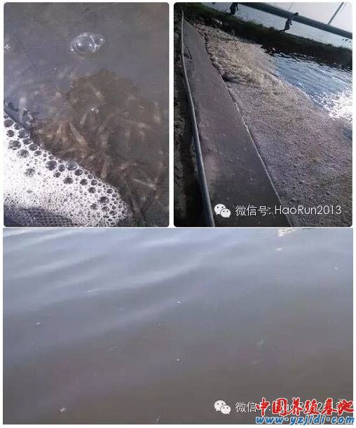 中國養殖基地 yzjidi.com