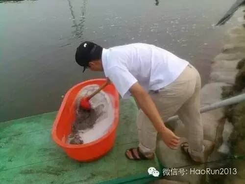 中國養殖基地 yzjidi.com