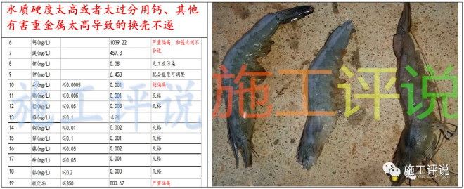 中國養殖基地 yzjidi.com