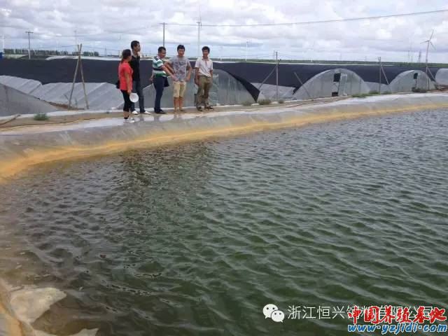 中國養殖基地 yzjidi.com