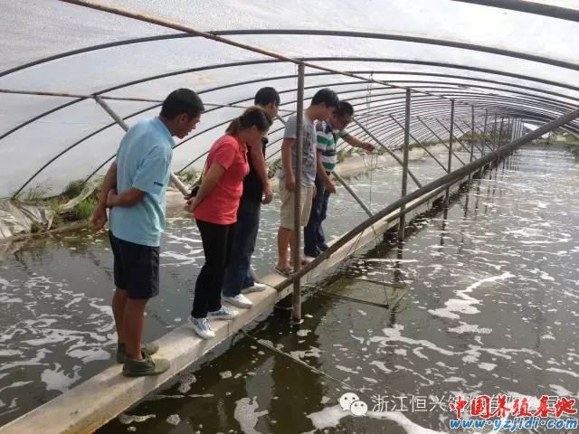 中國養殖基地 yzjidi.com