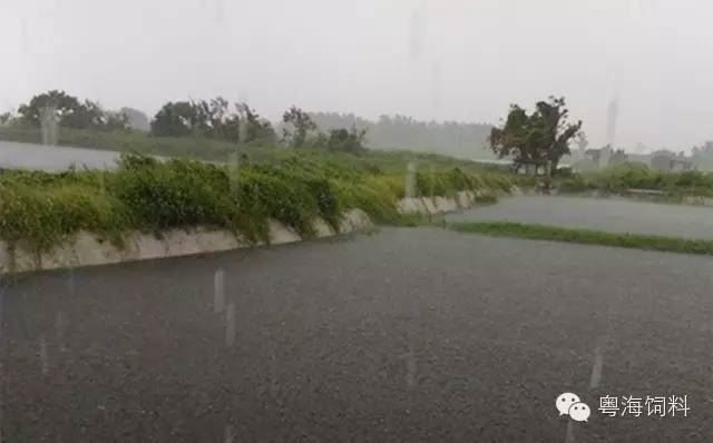 中國養殖基地 yzjidi.com