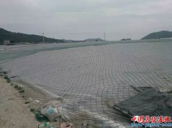 中國養殖基地 yzjidi.com