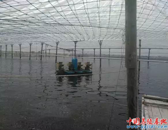 中國養殖基地 yzjidi.com