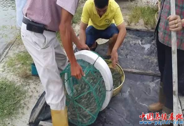 中國養殖基地 yzjidi.com