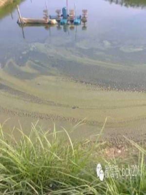 中國養殖基地 yzjidi.com