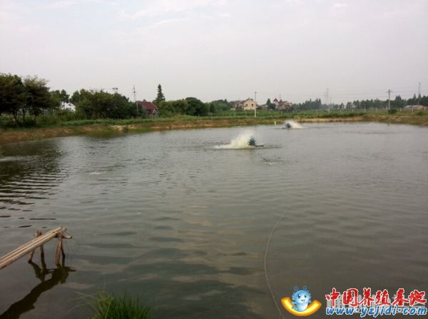 中國養殖基地 yzjidi.com