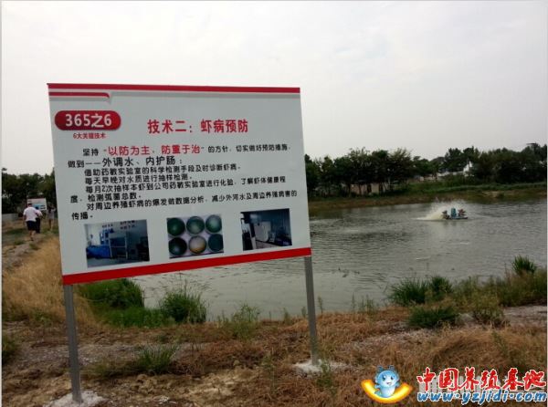 中國養殖基地 yzjidi.com