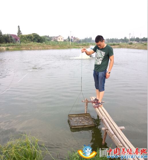 中國養殖基地 yzjidi.com