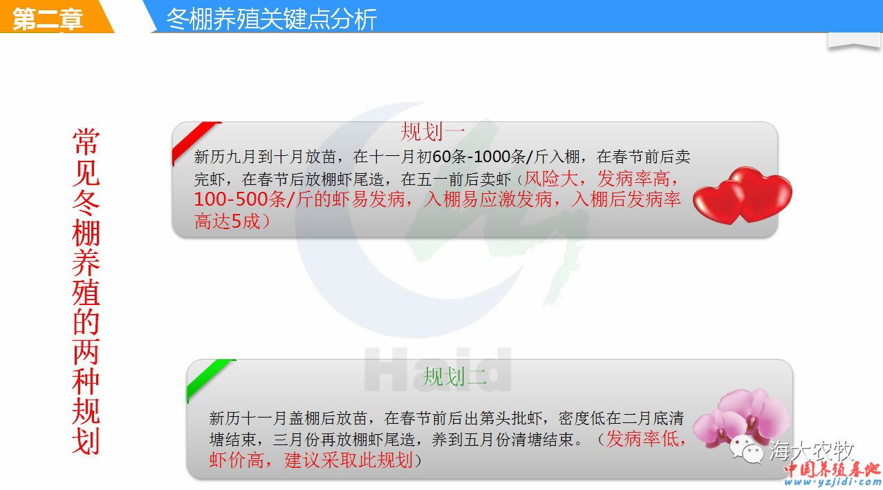 中國養殖基地 yzjidi.com