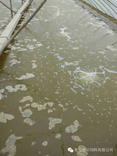 中國養殖基地 yzjidi.com