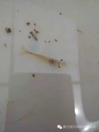 中國養殖基地 yzjidi.com