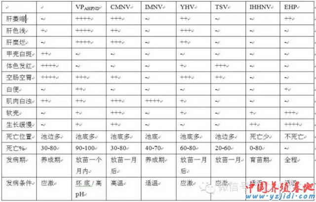 中國養殖基地 yzjidi.com