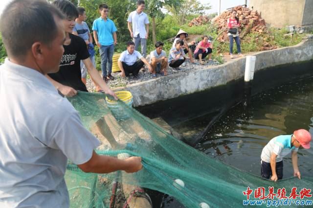 中國養殖基地 yzjidi.com
