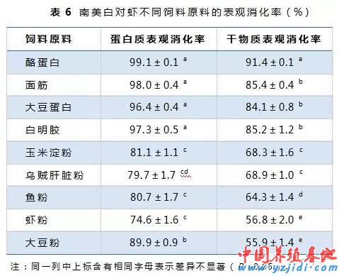 中國養殖基地 yzjidi.com