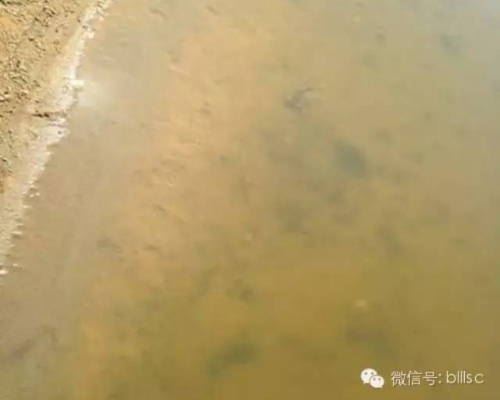 中國養殖基地 yzjidi.com