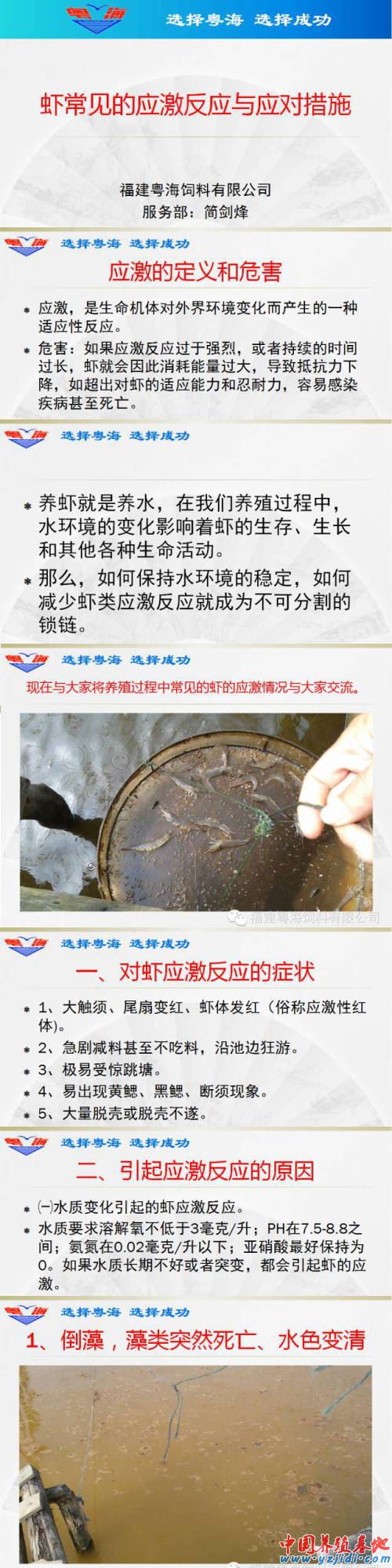 中國養殖基地 yzjidi.com