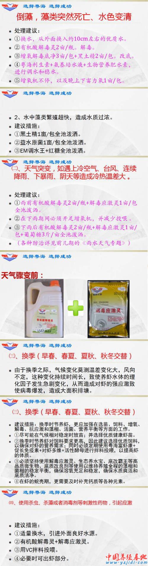 中國養殖基地 yzjidi.com