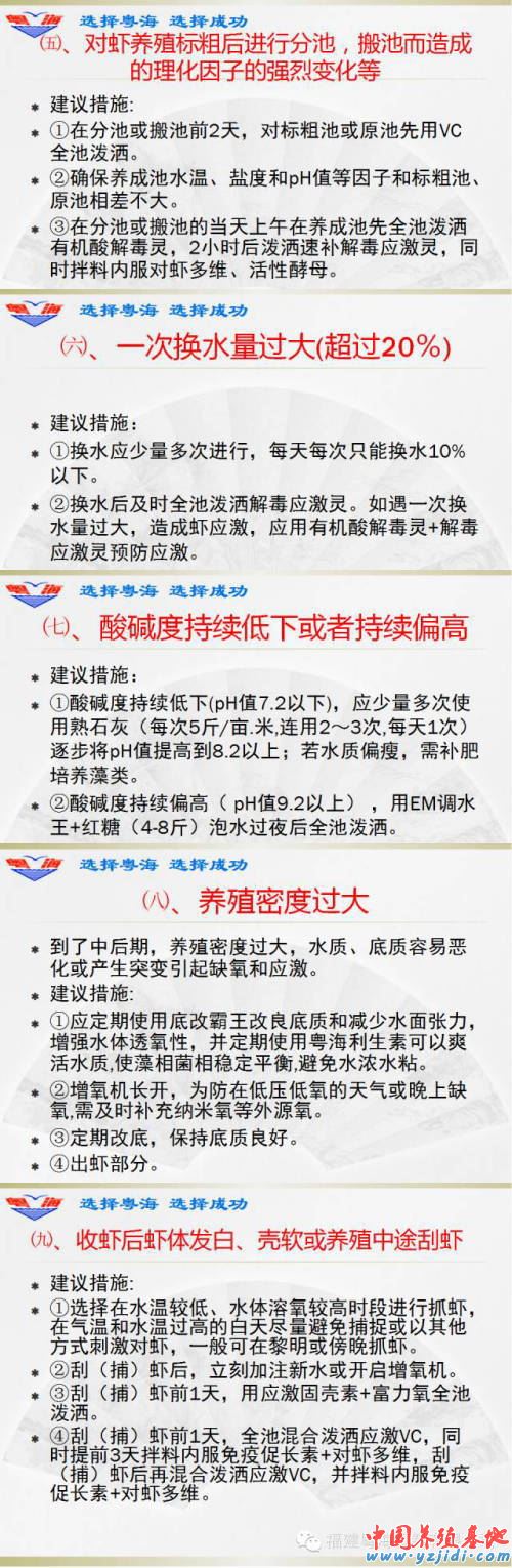 中國養殖基地 yzjidi.com