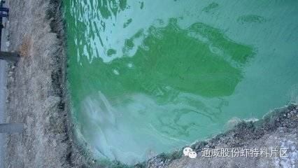中國養殖基地 yzjidi.com