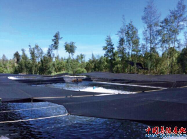 中國養殖基地 yzjidi.com