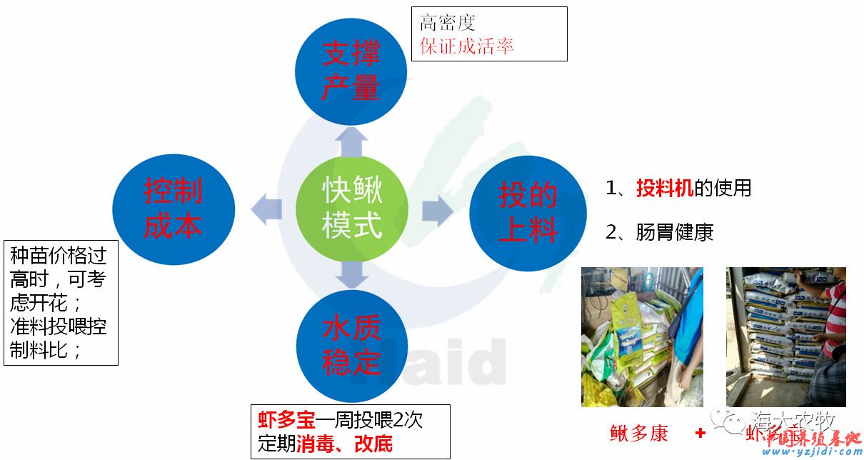 中國養殖基地 yzjidi.com