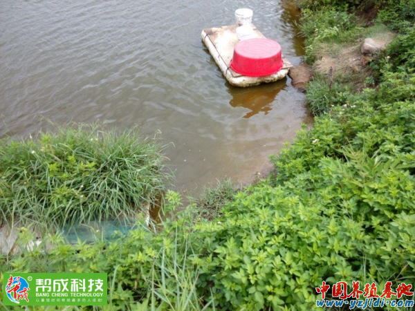中國養殖基地 yzjidi.com