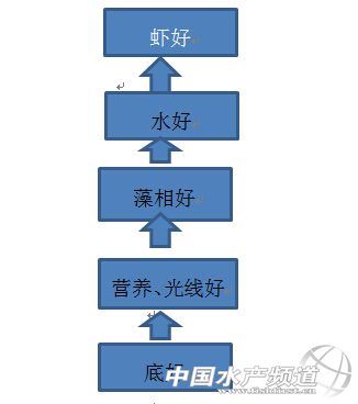 中國養殖基地 yzjidi.com