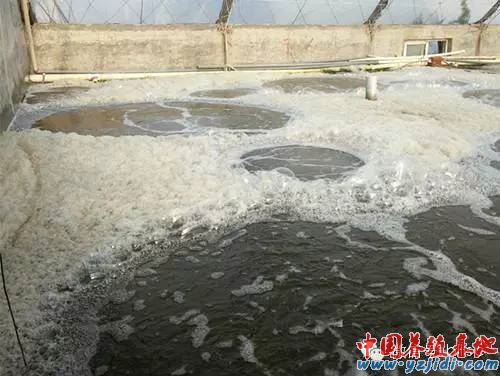 中國養殖基地 yzjidi.com