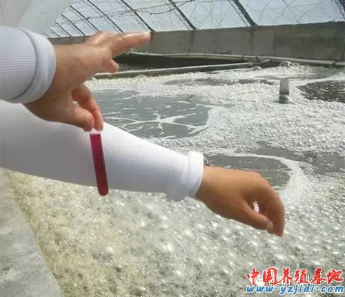 中國養殖基地 yzjidi.com