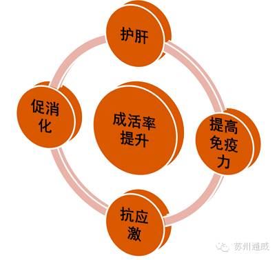 中國養殖基地 yzjidi.com