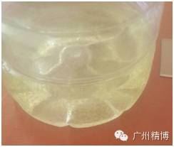 中國養殖基地 yzjidi.com