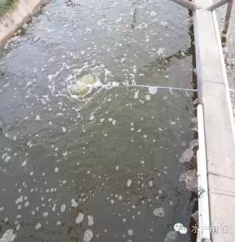 中國養殖基地 yzjidi.com