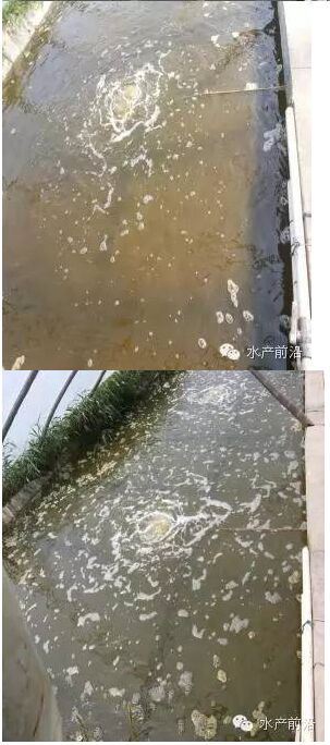 中國養殖基地 yzjidi.com