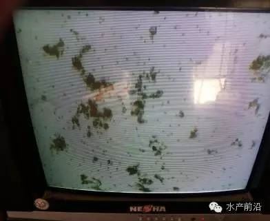 中國養殖基地 yzjidi.com