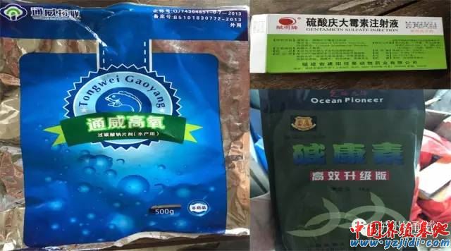 中國養殖基地 yzjidi.com