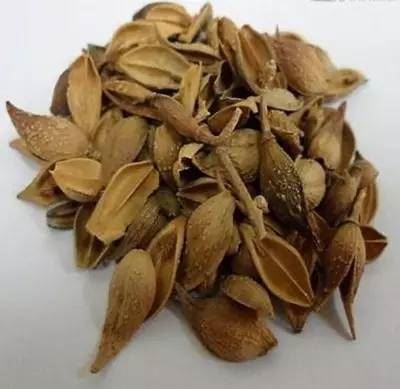 中國養殖基地 yzjidi.com