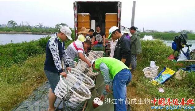 中國養殖基地 yzjidi.com