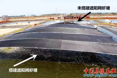 中國養殖基地 yzjidi.com
